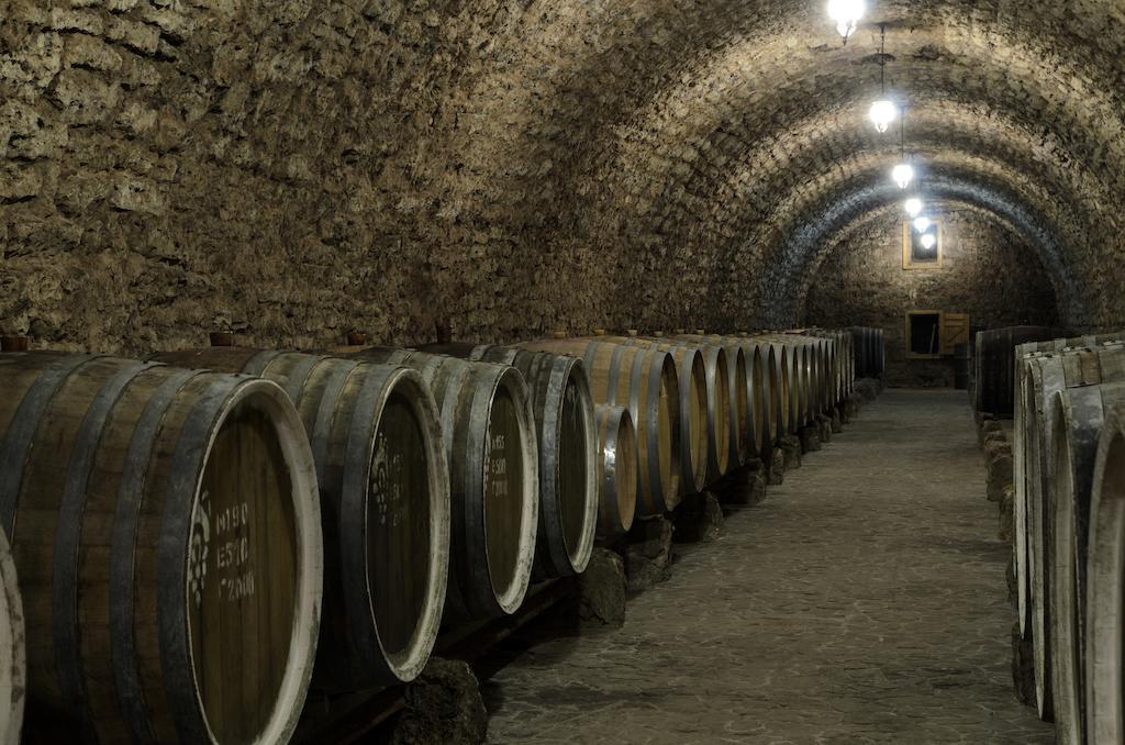 Hotel Prince Trubetskoi Winery Nova Kajovka Exterior foto